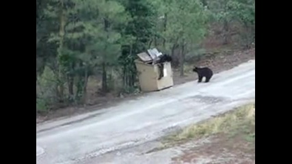 Стълба за мечка