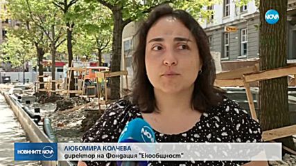 Напрежение сред гражданите заради отсечени дървета на площад „Славейков”