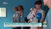 Фондация "Шаро" събира старите стотинки за грижа за бездомни животни