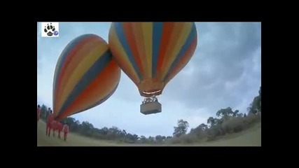 Afrika Serengeti 3. Bolum Izle 2011 Hq