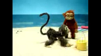 Monkeys - Smeshno