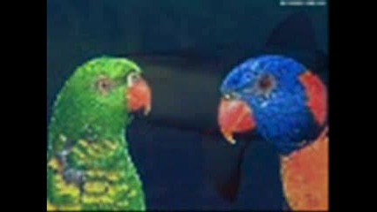 Животни