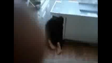 На ей това му се вика да си прост