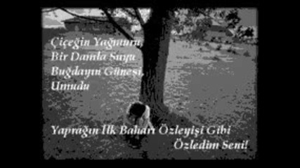 Seni seviyorum canim