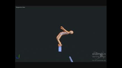 extreme endorphin fall 