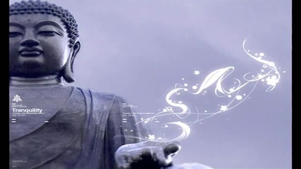 Buddha Bar Xi by Ravindj Danjer feat Ash My Danjer Sound (original Mix)