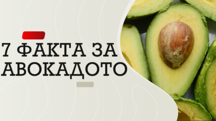 7 забавни факта за авокадото.