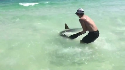 Момчета спасяват акула чук, която има кукички в устата