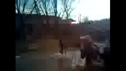 kukeri v aleksandrovo na rekata