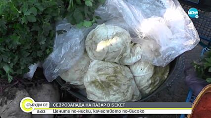 ЦЕНИТЕ В РУМЪНИЯ И У НАС: Къде е по-евтино?
