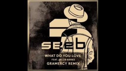 *2017* Seeb ft. Jacob Banks - What Do You Love ( Gramercy remix )