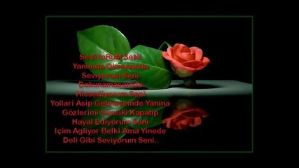 lonely.wmv