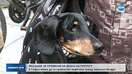 Протест заради мръсния въздух в София