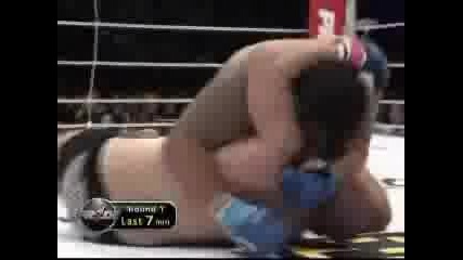 Fedor Emelianenko Vs Mark Hunt 