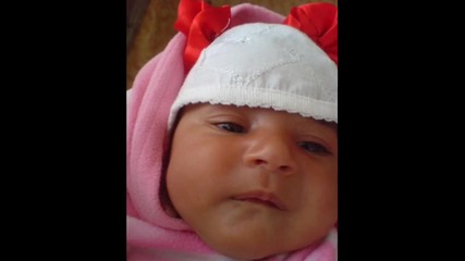 damla@bilginar@gulsebar