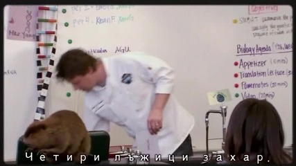 Натъпкани (3/3)