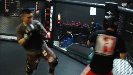Pro Mma sparring (hard Hits)