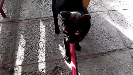 Vid_20150822_163300
