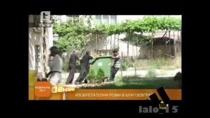 Господари На Ефира Роми крадът дърва с варели