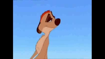 Lion King - Timon