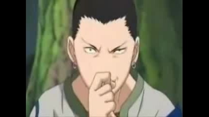 Shikamaru Tribute