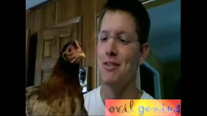 Един Як Урок По Биология - Главата На Пилето! (смях)