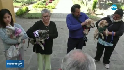 В Мексико носиха домашни любимци в църквите, за да бъдат блaгословени