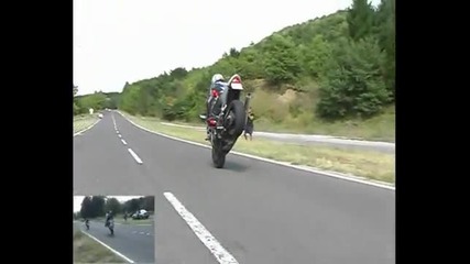 Stunt от България