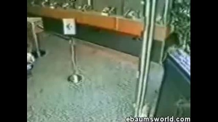 Най - глупавият крадец в света!