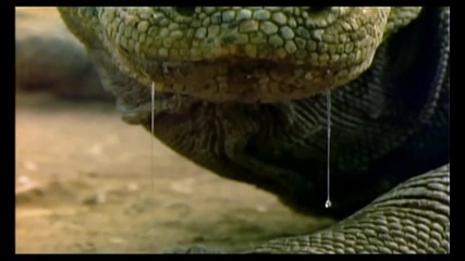 Evolution - The evolution of Venom Hd