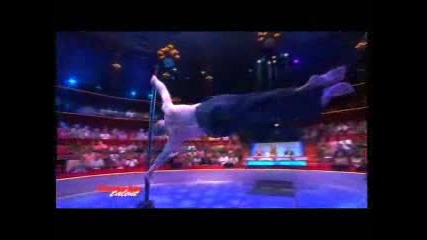 Heineken - Men With Talent 