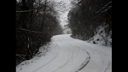 Rally Sweden 2010 