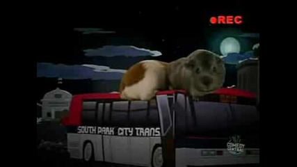 South Park S12e11