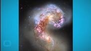 Loner Galaxies Are Runaways From Bad Relationships