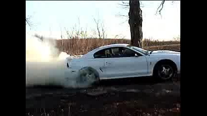 Ford Mustang Burnout !!!