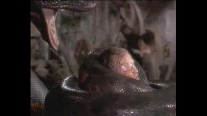 Anaconda - Jacks Killed