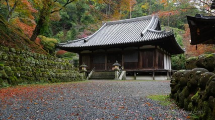 Kyoto Otagi Nenbutsu 4k Ultra Hd