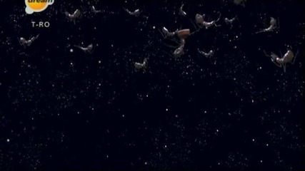Element - Karinca