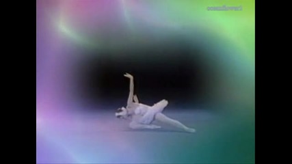 The swan - Bradley Joseph 