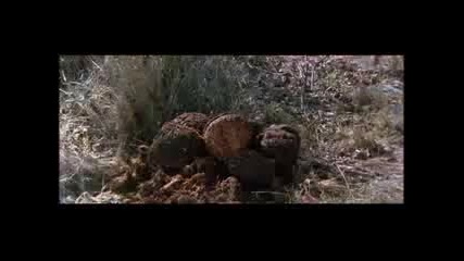The Gods Is Must be Crazy / Боговете Сигурно са Полудели Част 3 / 11 