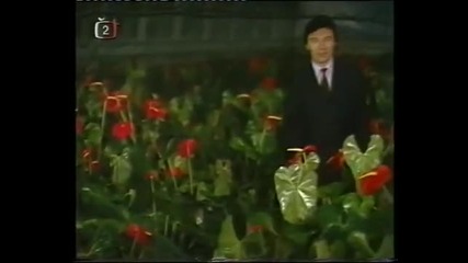 Karel Gott - Jsi krasna