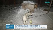 Гилотириниране, мелене, бесене: Мъжът и жената от Свищов убили 82 животни, снимали от 2013 г.