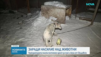 Гилотириниране, мелене, бесене: Мъжът и жената от Свищов убили 82 животни, снимали от 2013 г.