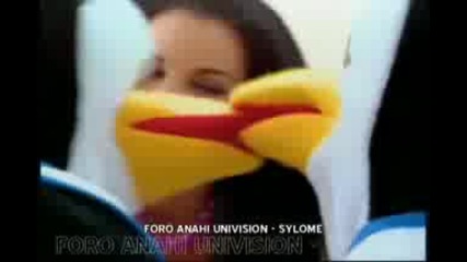 Maite Perroni