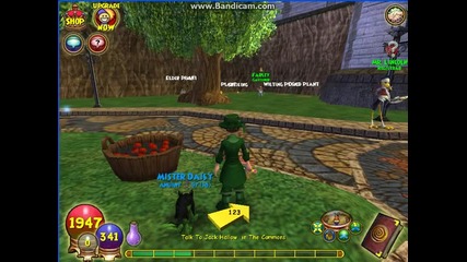 Wizard 101 епизот 7