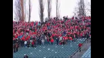 Ruch Chorzow - Widzew Lodz (15.03.2008) [2]