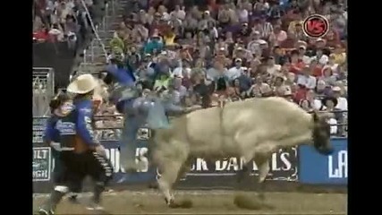 Mike White Vs. Splat Kat 
