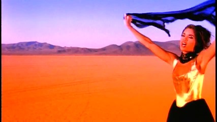 Vanessa Williams - The Comfort Zone