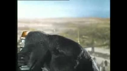 Flotsam And Jetsam - Swatting At Flies (king Kong)