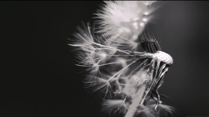 Vincent De Moor - Fly Away (sean Tyas Remix)